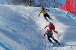 Sochi 2014 ORIS homologations underway