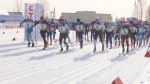 Финал Кубка России по лыжным гонкам завершился в Сыктывкаре