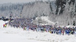 Vasaloppet: We have 90 kilometres of ski tracks ready!