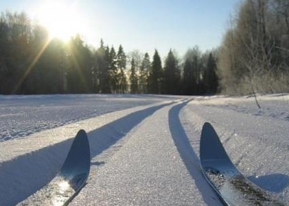 К началу зимы в Сургуте появится новая лыжная трасса