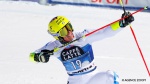 Retirements and coach changes in Alpine Skiing