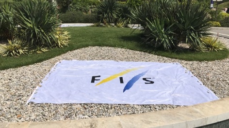Decisions of the FIS Council at the Spring Meeting 2017