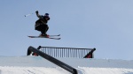 Audi quattro partners with Winter Games NZ for second term