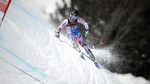Updates from FIS Alpine Courses Sub-Committee