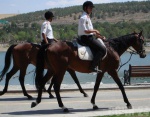 Олимпийские объекты в Сочи будут обслуживать конные спасатели