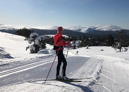 Поход на лыжах по Лапландии в хорошей компании