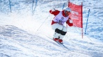 Moguls competition starts SN2017 on a high