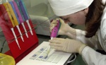 Russian specialists start using genetic technologies during preparation of athletes