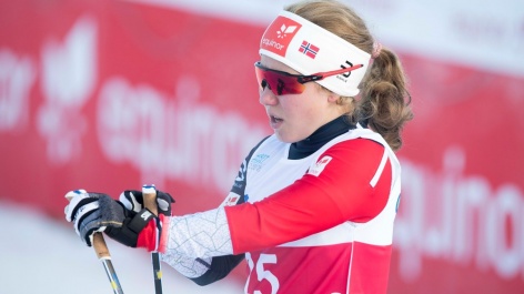Норвежские лыжницы лечились гормональными препаратами 
