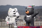 Российские телезрители увидят соревнования Олимпиады-2018