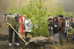 В районе «Сопки» высадили 200 саженцев хвойных деревьев 